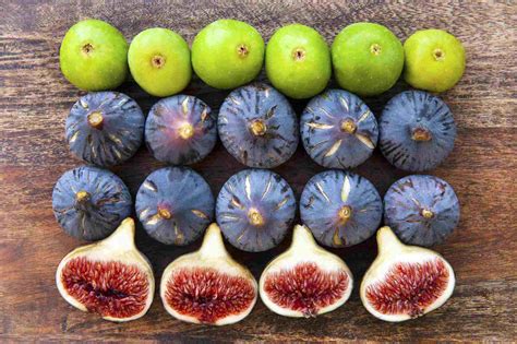 10 Fig Varieties .